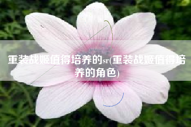 重装战姬值得培养的sr(重装战姬值得培养的角色)