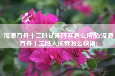 流浪方舟十二胜试炼阵容怎么搭配(流浪方舟十二胜入场券怎么获得)