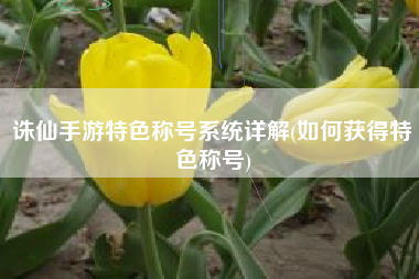诛仙手游特色称号系统详解(如何获得特色称号)