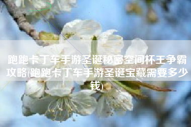 跑跑卡丁车手游圣诞秘密空间杯王争霸攻略(跑跑卡丁车手游圣诞宝藏需要多少钱)