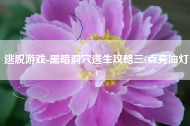 逃脱游戏-黑暗洞穴逃生攻略三(点亮油灯)