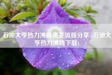 石油大亨热力沸腾通关流程分享 (石油大亨热力沸腾下载)