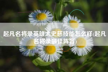 起凡名将录英雄太史慈技能怎么样(起凡名将录最佳阵容)
