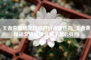 王者荣耀铭文找回碎片会返还吗_王者荣耀铭文碎片被分解了怎么找回