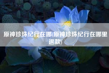 原神珍珠纪行在哪(原神珍珠纪行在哪里退款)