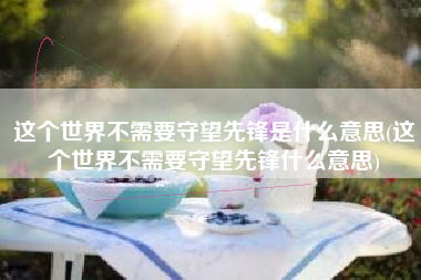 这个世界不需要守望先锋是什么意思(这个世界不需要守望先锋什么意思)