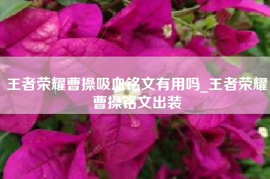 王者荣耀曹操吸血铭文有用吗_王者荣耀曹操铭文出装