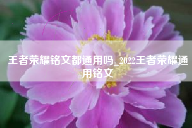 王者荣耀铭文都通用吗_2022王者荣耀通用铭文