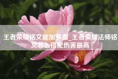 王者荣耀铭文能加多血_王者荣耀法师铭文怎么搭配伤害最高