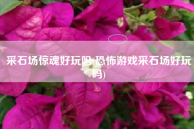 采石场惊魂好玩吗(恐怖游戏采石场好玩吗)