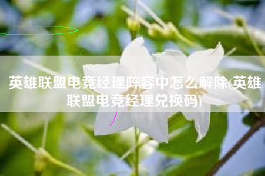 英雄联盟电竞经理阵容中怎么解除(英雄联盟电竞经理兑换码)