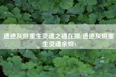 遗迹灰烬重生灵魂之锚在哪(遗迹灰烬重生灵魂余烬)