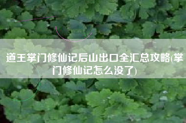 道王掌门修仙记后山出口全汇总攻略(掌门修仙记怎么没了)