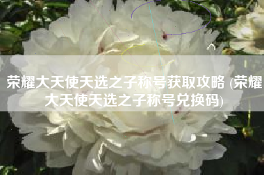 荣耀大天使天选之子称号获取攻略 (荣耀大天使天选之子称号兑换码)