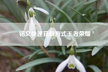 铭文快速获取方式王者荣耀