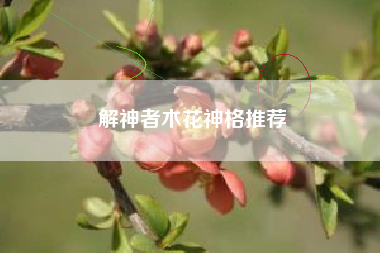 解神者木花神格推荐
