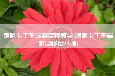 跑跑卡丁车端游漂移教学(跑跑卡丁车端游漂移后小喷)