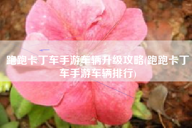 跑跑卡丁车手游车辆升级攻略(跑跑卡丁车手游车辆排行)