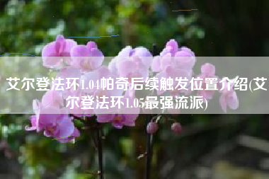 艾尔登法环1.04帕奇后续触发位置介绍(艾尔登法环1.05最强流派)