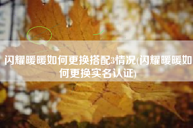 闪耀暖暖如何更换搭配3情况(闪耀暖暖如何更换实名认证)