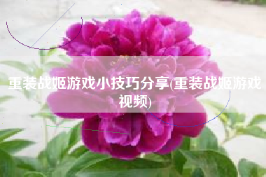 重装战姬游戏小技巧分享(重装战姬游戏视频)
