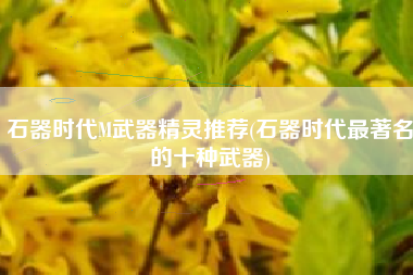 石器时代M武器精灵推荐(石器时代最著名的十种武器)