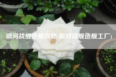 银河战舰造舰攻略(银河战舰造舰工厂)