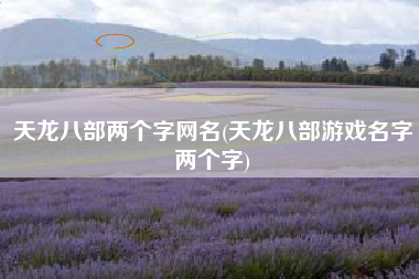 天龙八部两个字网名(天龙八部游戏名字两个字)