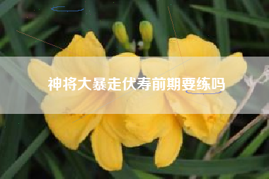 神将大暴走伏寿前期要练吗