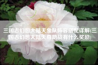 三国志幻想大陆天象队阵容搭配详解(三国志幻想大陆天尊助战有什么奖励)