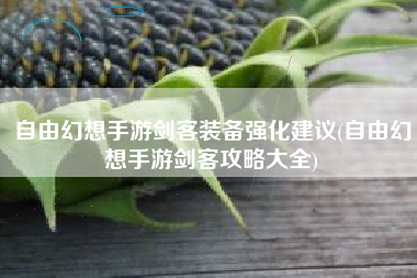 自由幻想手游剑客装备强化建议(自由幻想手游剑客攻略大全)