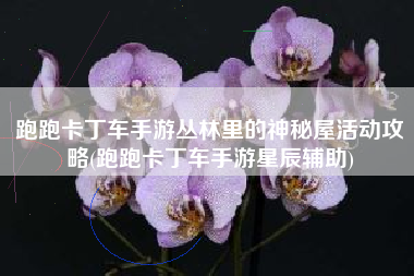 跑跑卡丁车手游丛林里的神秘屋活动攻略(跑跑卡丁车手游星辰辅助)