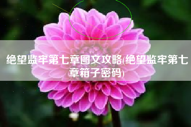 绝望监牢第七章图文攻略(绝望监牢第七章箱子密码)