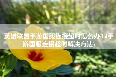 英雄联盟手游国服连接超时怎么办(lol手游国服连接超时解决方法)