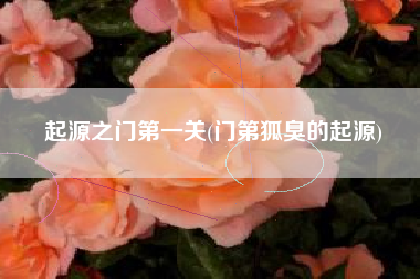 起源之门第一关(门第狐臭的起源)