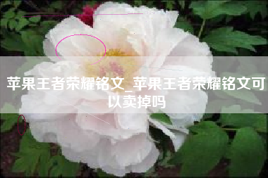 苹果王者荣耀铭文_苹果王者荣耀铭文可以卖掉吗