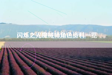 闪烁之光魔械师角色资料一览