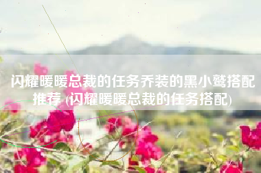 闪耀暖暖总裁的任务乔装的黑小鹫搭配推荐 (闪耀暖暖总裁的任务搭配)
