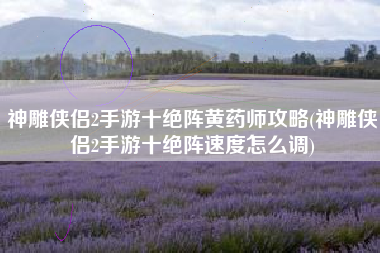 神雕侠侣2手游十绝阵黄药师攻略(神雕侠侣2手游十绝阵速度怎么调)