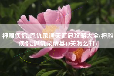 神雕侠侣2恩仇录通关汇总攻略大全(神雕侠侣2恩仇录精英40关怎么打)