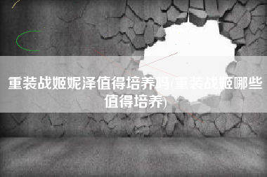 重装战姬妮泽值得培养吗(重装战姬哪些值得培养)