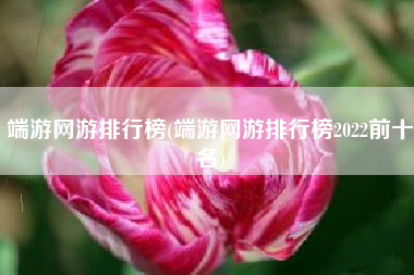 端游网游排行榜(端游网游排行榜2022前十名)