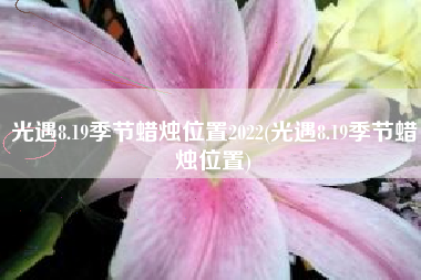 光遇8.19季节蜡烛位置2022(光遇8.19季节蜡烛位置)