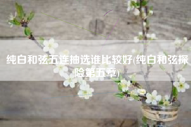纯白和弦五连抽选谁比较好(纯白和弦探险第五章)