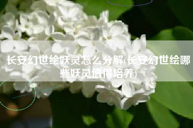 长安幻世绘妖灵怎么分解(长安幻世绘哪些妖灵值得培养)