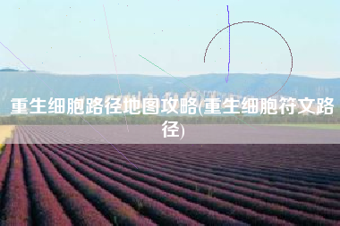 重生细胞路径地图攻略(重生细胞符文路径)