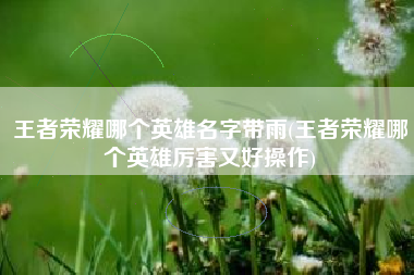 王者荣耀哪个英雄名字带雨(王者荣耀哪个英雄厉害又好操作)