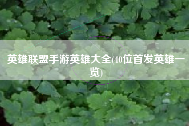 英雄联盟手游英雄大全(40位首发英雄一览)