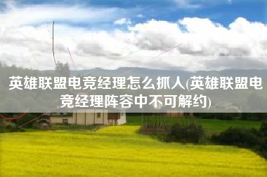 英雄联盟电竞经理怎么抓人(英雄联盟电竞经理阵容中不可解约)