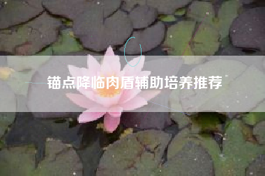 锚点降临肉盾辅助培养推荐